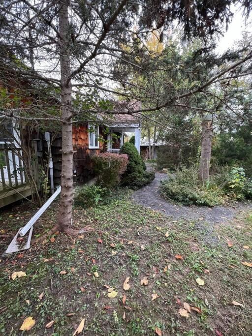 Country Cottage Пен Ян Екстериор снимка